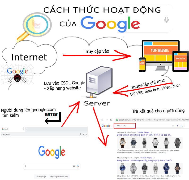 Cơ Chế Hoạt Động Của Google Seach