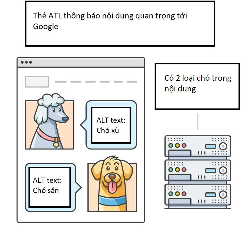 thẻ alt trong seo